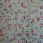 SAM_3561