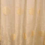 SAM_1569