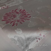SAM_2106