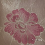 SAM_2108