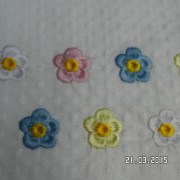 SAM_2222