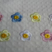SAM_2225