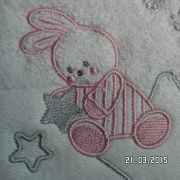 SAM_2249