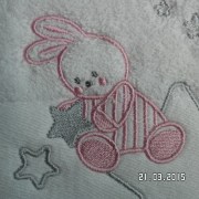 SAM_2250