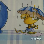 SAM_2269