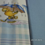 SAM_2289