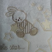 SAM_23029