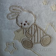 SAM_2303
