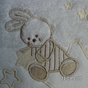 SAM_2304