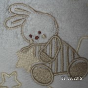 SAM_2312