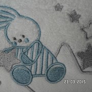 SAM_2317