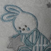 SAM_2318