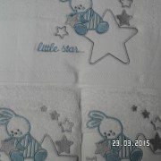 SAM_2323