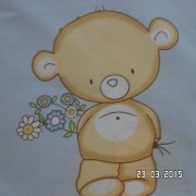 SAM_2430