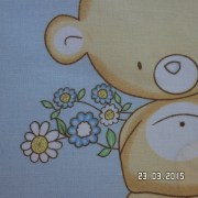 SAM_2432