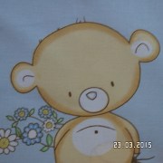 SAM_2433