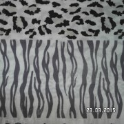 SAM_2440