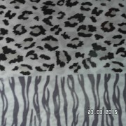 SAM_2441