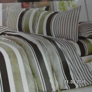 SAM_2443