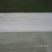 SAM_2445