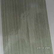 SAM_2447