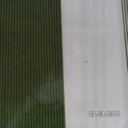 SAM_2449