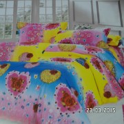 SAM_2506