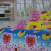 SAM_2508