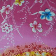 SAM_2509