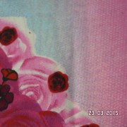 SAM_2512