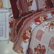 SAM_2526