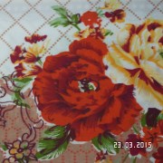 SAM_2532