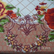 SAM_2534