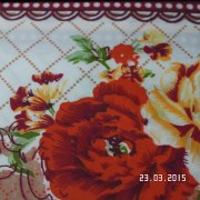 SAM_2535