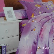 SAM_2536