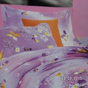 SAM_2542