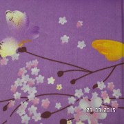 SAM_2545