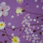 SAM_2547