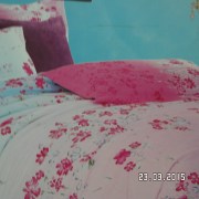 SAM_2553