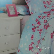 SAM_2554