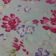 SAM_2558