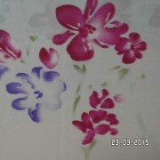 SAM_2560