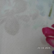 SAM_2563