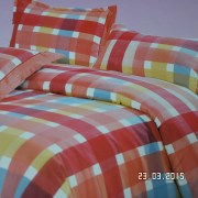 SAM_2579
