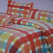 SAM_2580