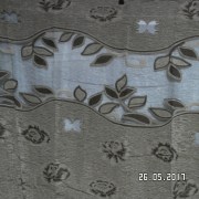 SAM_3141