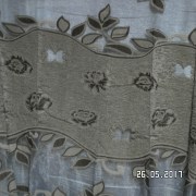 SAM_3142