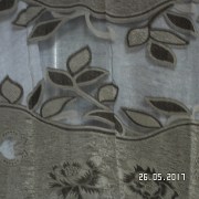 SAM_3144
