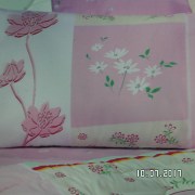 SAM_3217