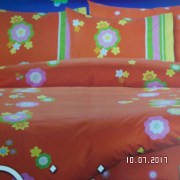 SAM_3220